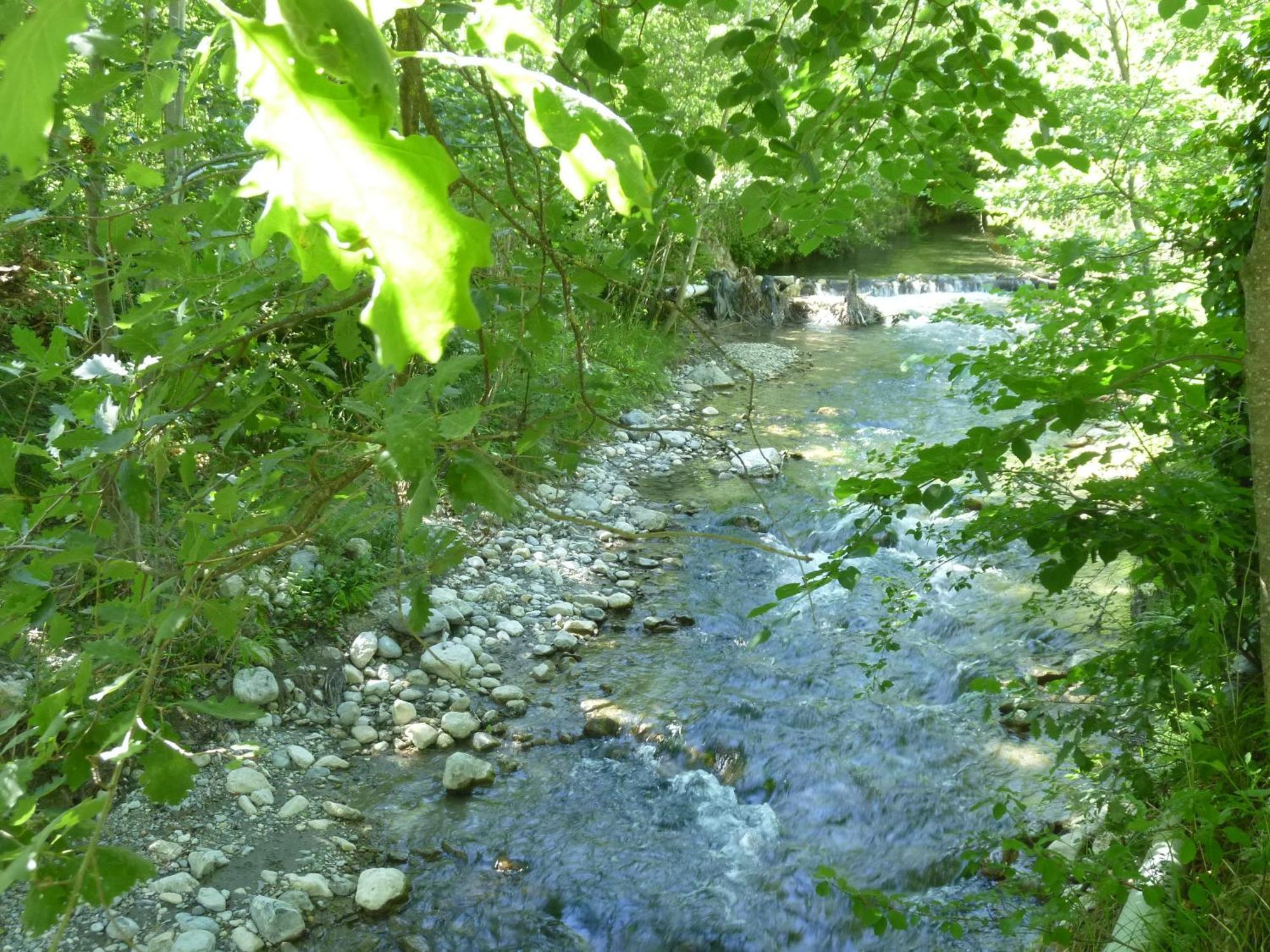 Camping Notre Dame Castellane Exterior foto
