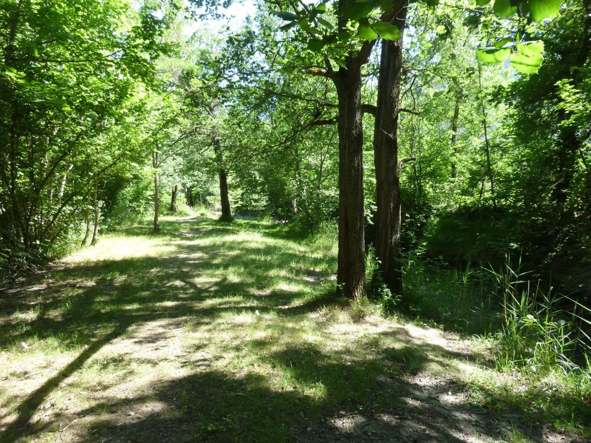 Camping Notre Dame Castellane Exterior foto